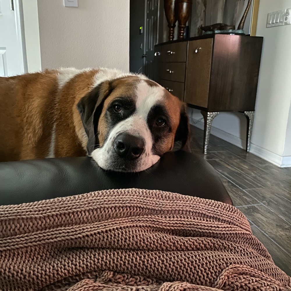 Meet your Posher, Heidi
